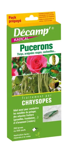 Traitement des insectes antipucerons par chrysope, 250 larves ou 500 œufs