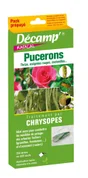 Traitement des insectes antipucerons par chrysope, 250 larves ou 500 œufs