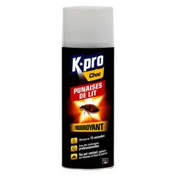 Bombe insecticide aérosol pour punaise de lit, KAPO, 400 ml
