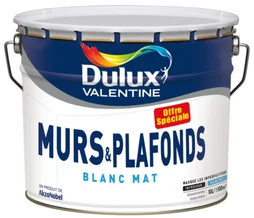 Peinture Mat Mur Et Plafond Offre Speciale 10L