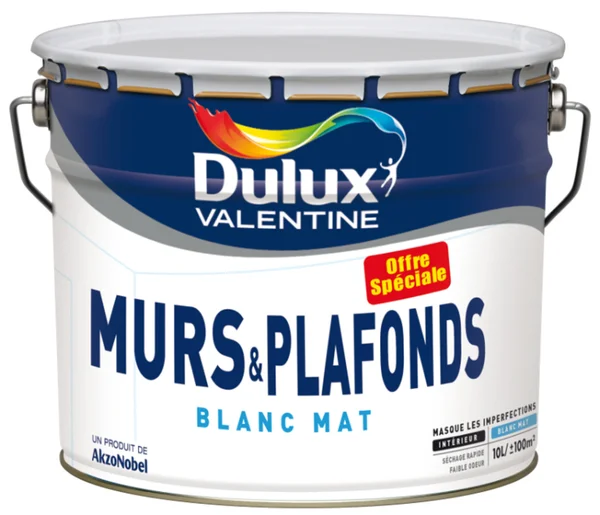Peinture Mat Mur Et Plafond Offre Speciale 10L