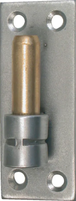 Gond Sur Platine Inox Brossé, Dia. 16 X Ht.180 Mm