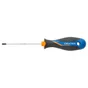 Tournevis Torx T20, L.100 Mm Dexter