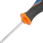 Tournevis Torx T20, L.100 Mm Dexter