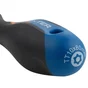 Tournevis Tamper Torx Tt10, L.80 Mm Dexter