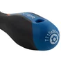Tournevis Tamper Torx Tt15, L.80 Mm Dexter
