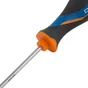 Tournevis Tamper Torx Tt15, L.80 Mm Dexter