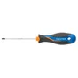 Tournevis Tamper Torx Tt20, L.100 Mm Dexter
