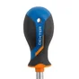 Tournevis Boule Plat 8, L.25 Mm Dexter