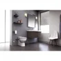 Wc À Poser Avec Broyeur Intégré Mécanisme Silencieux Sanicompact 555 Sfa