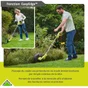 Coupe-bordures électrique RYOBI Rlt6130, 600 W, l.30 cm