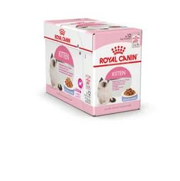 Pâtée chat kitteng gelée 12X85G ROYAL CANIN