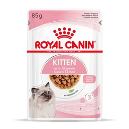 Royal Canin Alimentation Chat Single Kitten Sce 85G