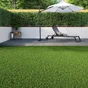 Gazon artificiel Zante NATERIAL, rouleau 1 x 5m x 20mm