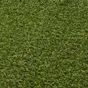 Gazon artificiel Zante NATERIAL, rouleau 1 x 5m x 20mm