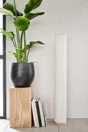 Papier Peint Vinyle Intissé Ginkgo Blanc