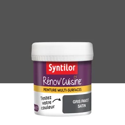 Testeur peinture cuisine Rénov'cuisine SYNTILOR gris pavot satiné 0.075 l