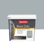 Peinture SYNTILOR, gris clair, 0.75L