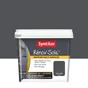 Peinture SYNTILOR, noir grisé, 0.75L