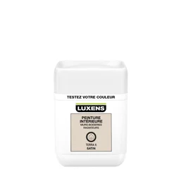Testeur Peinture, Mur, Boiserie, Radiateur Luxens, Terra 6, Satin, 0.05