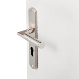 1 Poignée De Porte Eden Trou De Cylindre Inspire, Zinc Entraxe 195 Mm