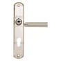 1 Poignée De Porte Eden Trou De Cylindre Inspire, Zinc Entraxe 195 Mm