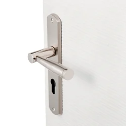 1 Poignée De Porte Nine Trou De Cylindre Inspire, Zinc Entraxe 195 Mm