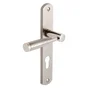 1 Poignée De Porte Nine Trou De Cylindre Inspire, Zinc Entraxe 195 Mm