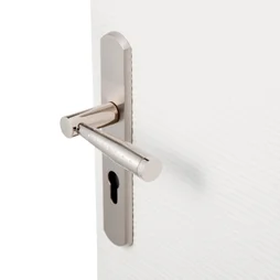 1 Poignée De Porte Nine Trou De Cylindre Inspire, Zinc Entraxe 195 Mm