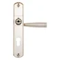 1 Poignée De Porte Nine Trou De Cylindre Inspire, Zinc Entraxe 195 Mm