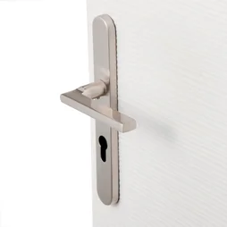 1 Poignée De Porte Lee Trou De Cylindre Inspire, Zinc Entraxe 195 Mm