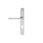 1 Poignée De Porte Lee Trou De Cylindre Inspire, Zinc Entraxe 195 Mm