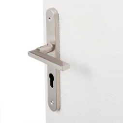 1 Poignée De Porte Lee Trou De Cylindre Inspire, Zinc Entraxe 195 Mm