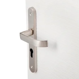 1 Poignée De Porte Lena Trou De Cylindre Inspire, Zinc Entraxe 195 Mm