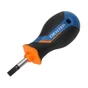 Tournevis Boule Plat 5.5, L.25 Mm Dexter