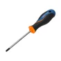 Tournevis Torx T25, L.100 Mm Dexter