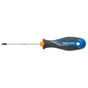 Tournevis Torx T25, L.100 Mm Dexter