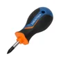 Tournevis Boule Cruciforme Pozidriv Pz1, L.25 Mm Dexter