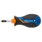 Tournevis Boule Cruciforme Pozidriv Pz1, L.25 Mm Dexter