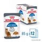 Pâtée chat Light Gelee 12X85G ROYAL CANIN