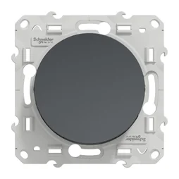 Poussoir à assembler Odace, SCHNEIDER ELECTRIC, gris anthracite