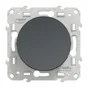 Poussoir à assembler Odace, SCHNEIDER ELECTRIC, gris anthracite