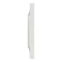 Plaque double Odace Styl, SCHNEIDER ELECTRIC, blanc