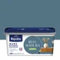 Peinture mur boiserie radiateur RIPOLIN bleu madura satiné 2,5 litres