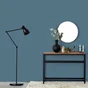 Peinture mur boiserie radiateur RIPOLIN bleu madura satiné 2,5 litres