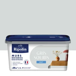 Peinture mur, boiserie, radiateur RIPOLIN gris souris mat 2.5 l