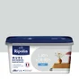 Peinture mur, boiserie, radiateur RIPOLIN gris souris mat 2.5 l