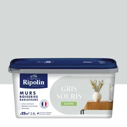 Peinture mur boiserie radiateur RIPOLIN gris souris satiné 2,5 litres