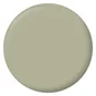 Peinture Mur, Boiserie, Radiateur Ripolin Vert Gaspésie Satiné 0.5 L