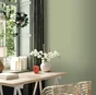 Peinture Mur, Boiserie, Radiateur Ripolin Vert Gaspésie Satiné 0.5 L